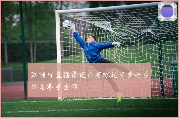 欧洲杯直播渠道公布球迷可多平台观看赛事全程