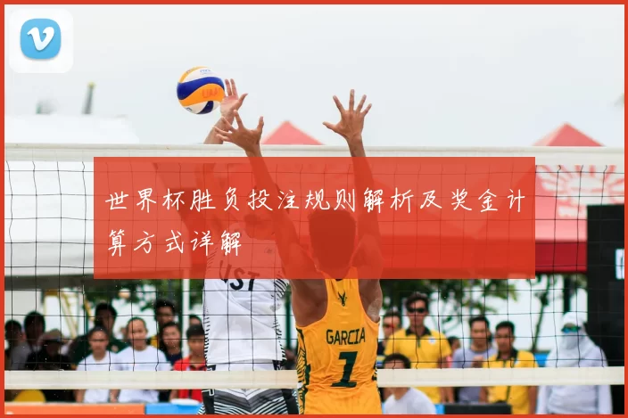 世界杯胜负投注规则解析及奖金计算方式详解
