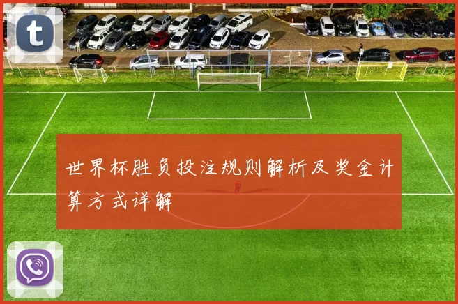 世界杯胜负投注规则解析及奖金计算方式详解