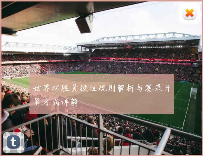 世界杯胜负投注规则解析与赛果计算方式详解